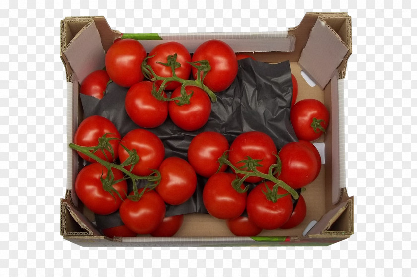 Tomato Plum Bush Box PNG