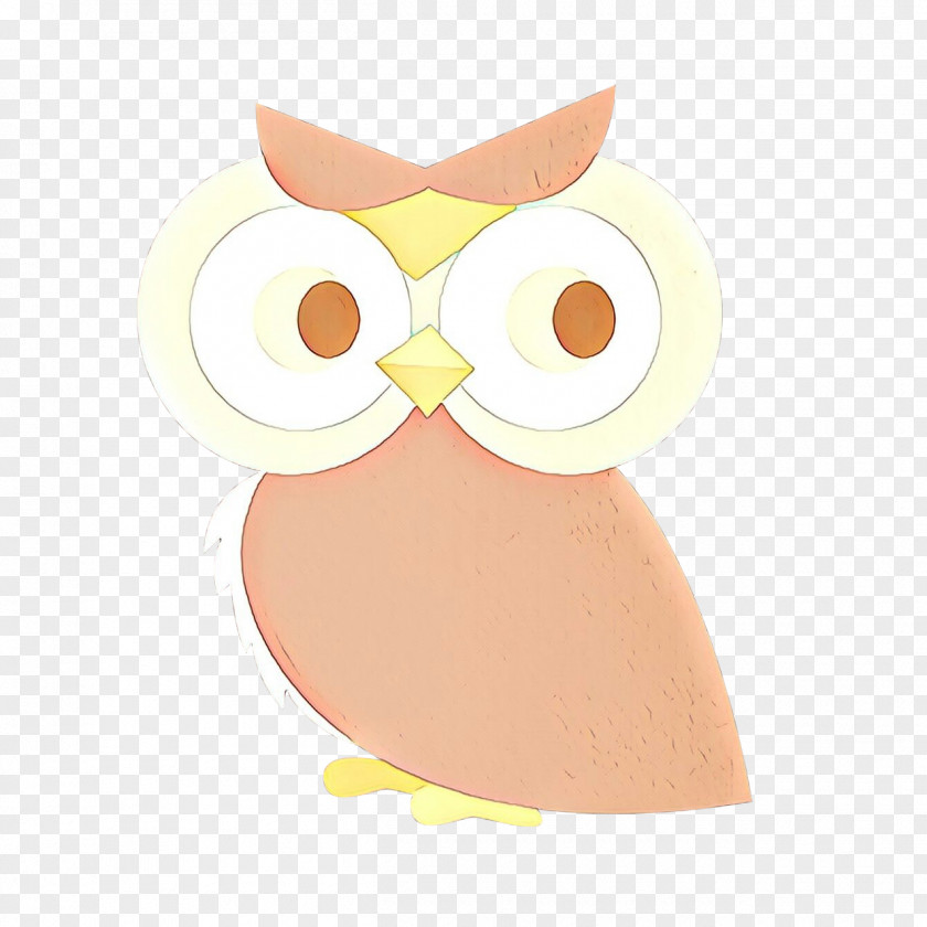 Bird Of Prey Owl Cartoon PNG