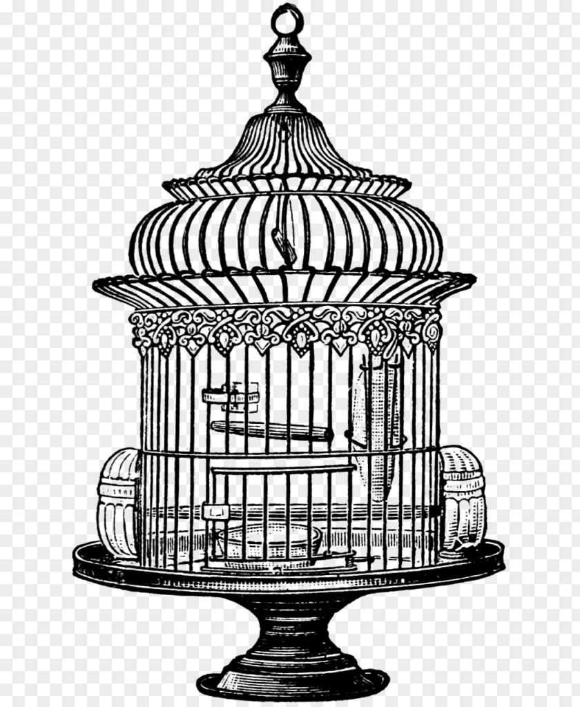 Birdcage Vector Clip Art PNG