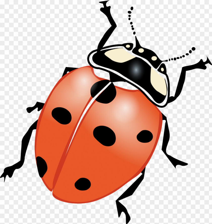 Bug Cliparts Ladybird Black And White Clip Art PNG