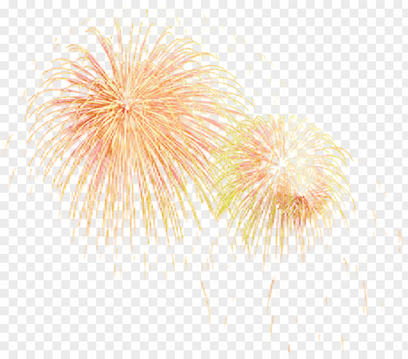 Colored Background And A Small Fireworks Adobe PNG