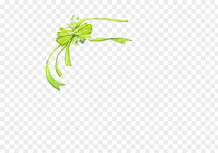 Fancy Bow Shoelace Knot Download Ribbon PNG