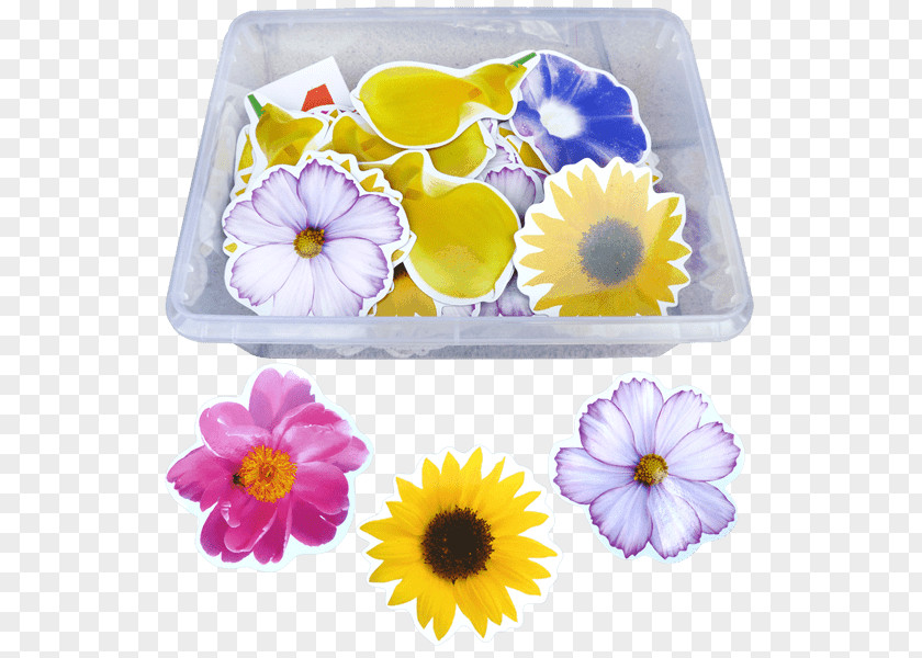 Learning Supplies Petal Floristry Violet Cut Flowers PNG