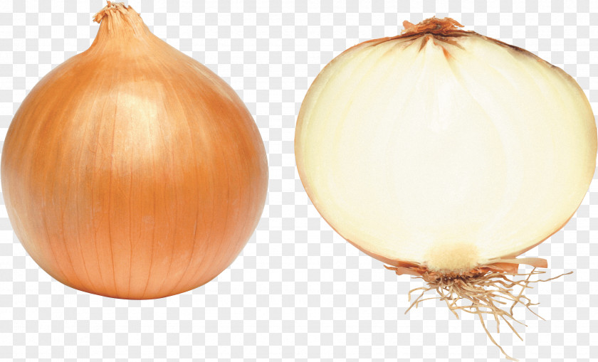 Onion Image Vegetable PNG