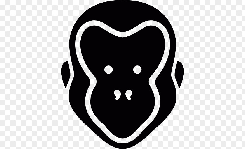 Ape Monkey PNG