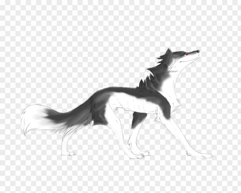 Black Wolf Mustang Dog Drawing Mammal Freikörperkultur PNG