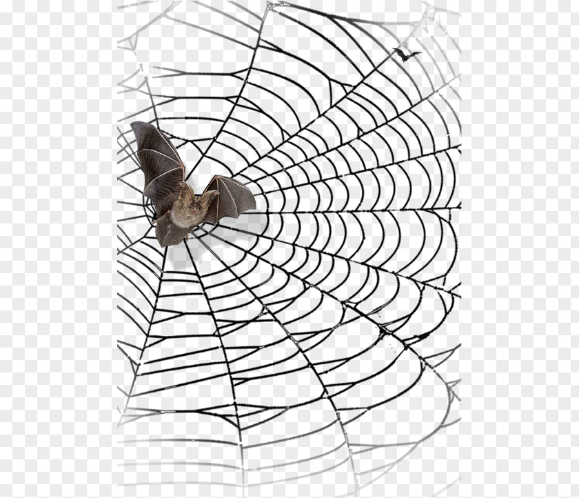 Cobweb Bat Spider Web Spider-Man Halloween PNG