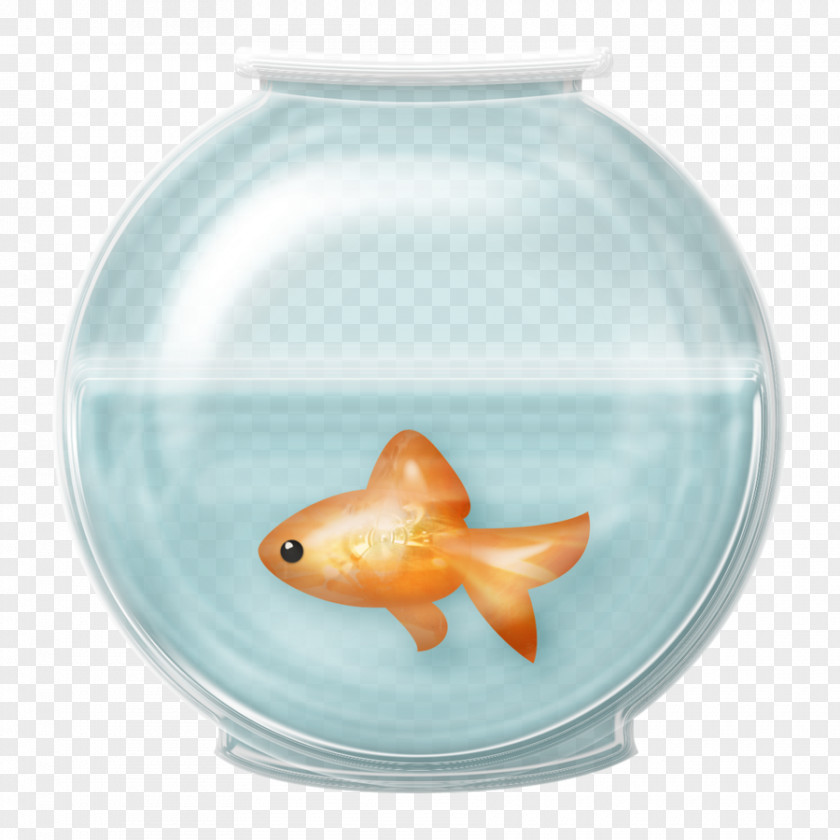 Fish Bowl Goldfish Clip Art PNG