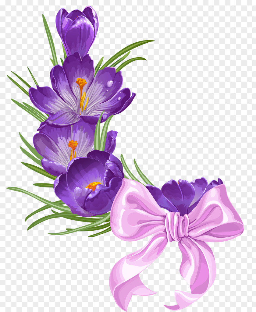 Flower Cut Flowers Floral Design Violet Purple PNG