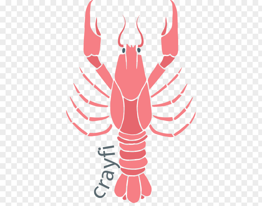 Hand-painted Pattern Pink Lobster Seafood Oyster Crayfish As Food Crab PNG