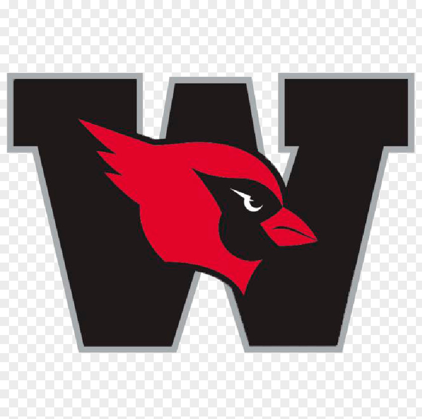 In The Dormitory Ate Luandun Wesleyan University Cardinals Football Post New England Small College Athletic Conference Sport PNG