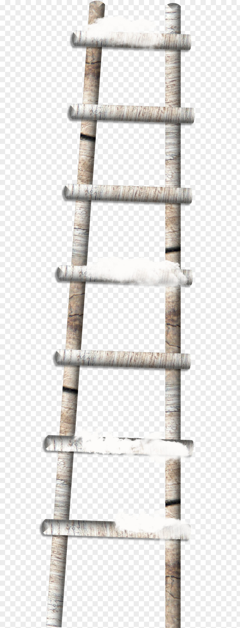 Ladder Winter PNG