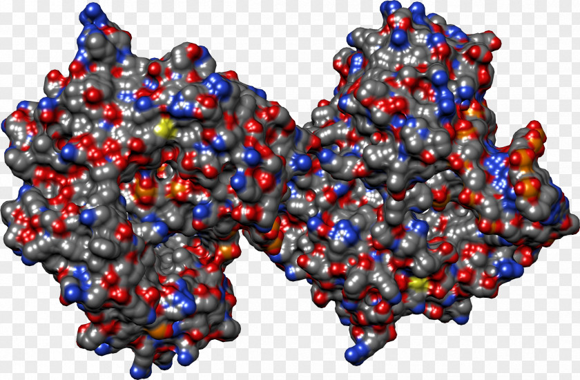 Molecular Structure Of Nucleic Acids A F Cobalt Blue Bead PNG