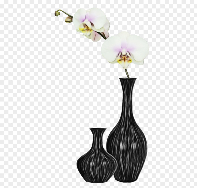 Petal Orchid Vase Flower Purple Violet Plant PNG