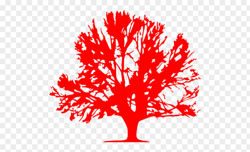 Tree Oak Gettysburg PNG