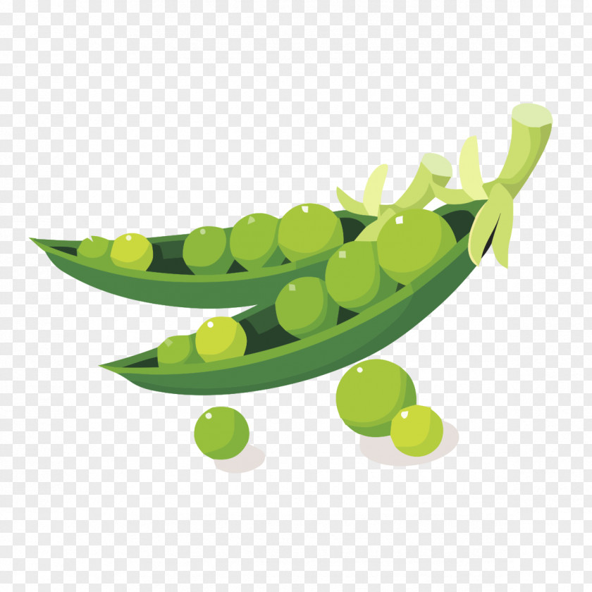 Stripped Peas Soybean Royalty-free Clip Art PNG