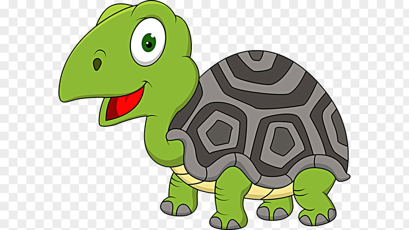 The Turtle's Gaze Turtle Cartoon Royalty-free Clip Art PNG
