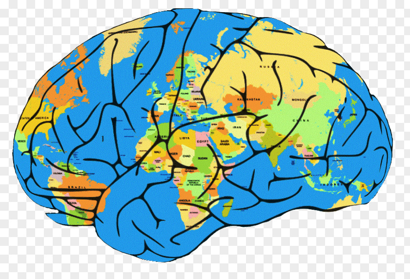 Truco Brain Organism Clip Art PNG