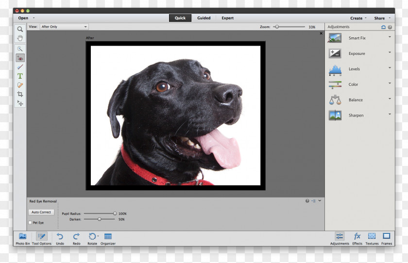 Adobe Photoshop Elements Tutorial PNG