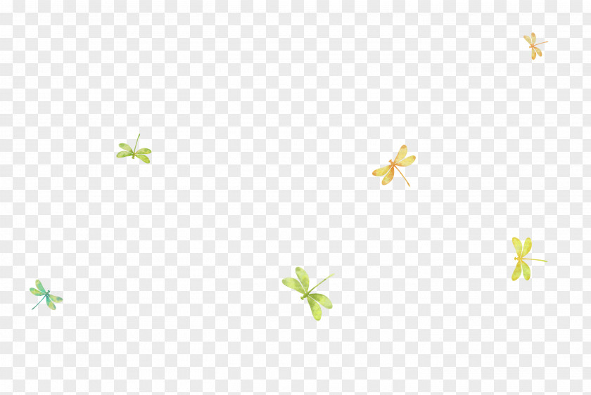 Beautiful Creative Dragonfly Green Angle Pattern PNG