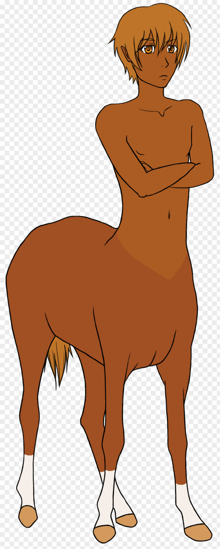 Centaur Mufasa Horse Character Pony Clip Art PNG
