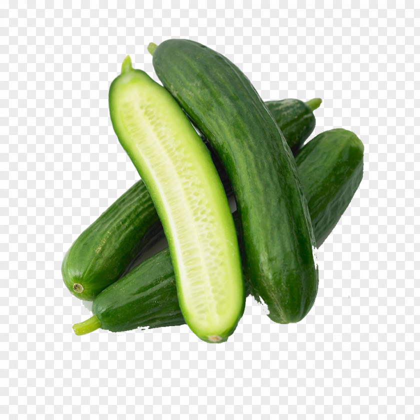 Cucumber Milk Melon Vegetable Food PNG