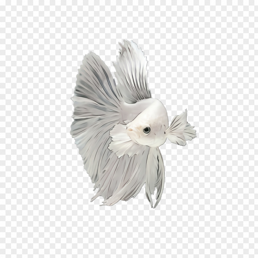 Fictional Character Angel Feather PNG
