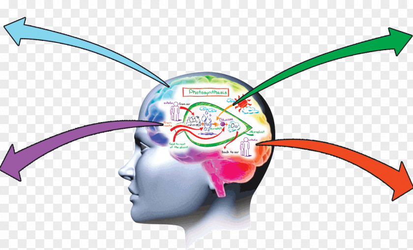 Guru Cliparts Memory Improvement Brain Memorization Learning PNG
