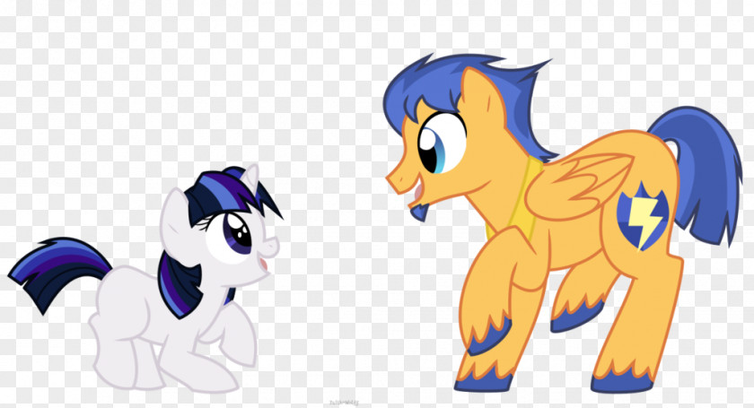 Pony Twilight Sparkle Rainbow Dash Flash Sentry Father PNG