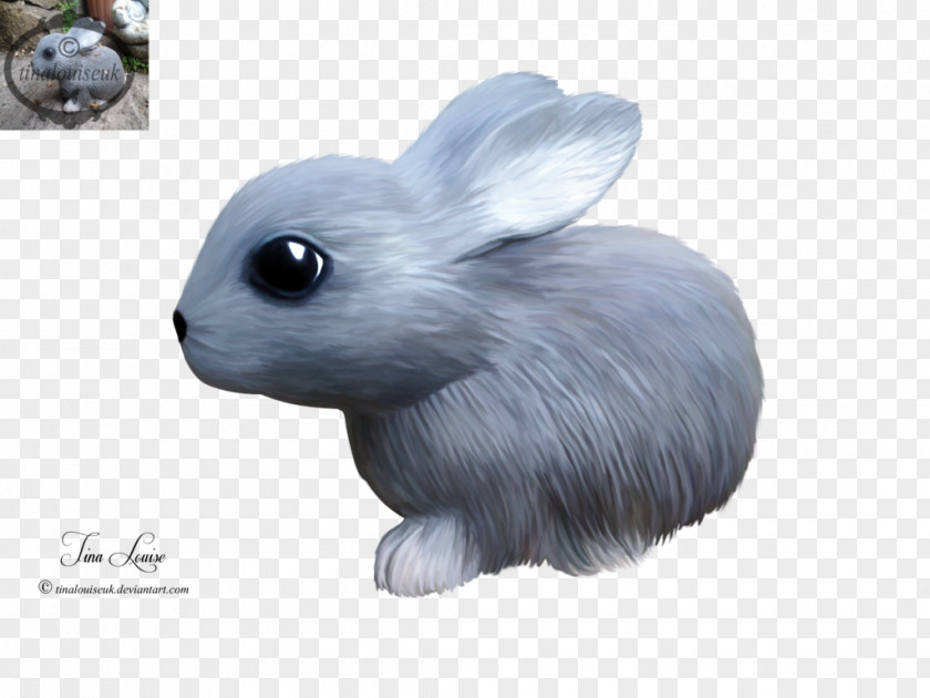 Rabbit Hare Domestic Pet Animal PNG