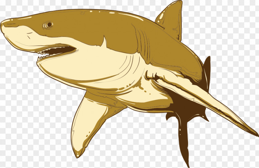 Vector Shark Cartoon Euclidean Illustration PNG