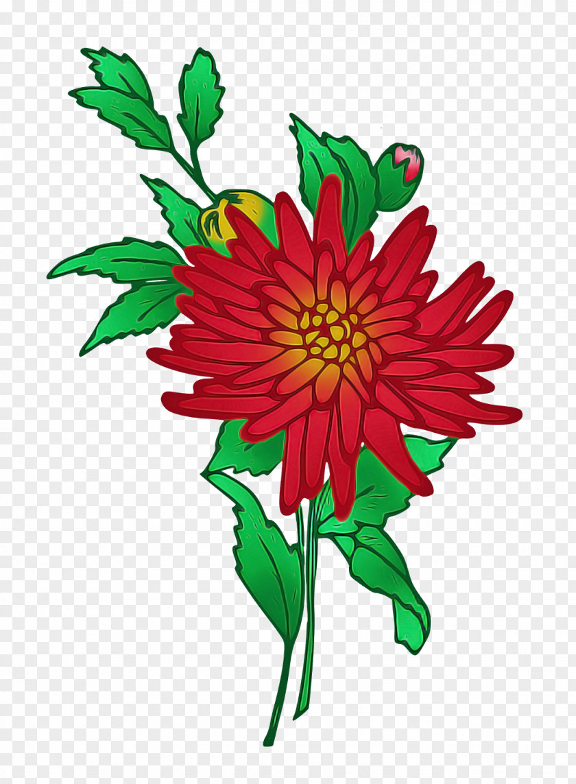 Floral Design PNG