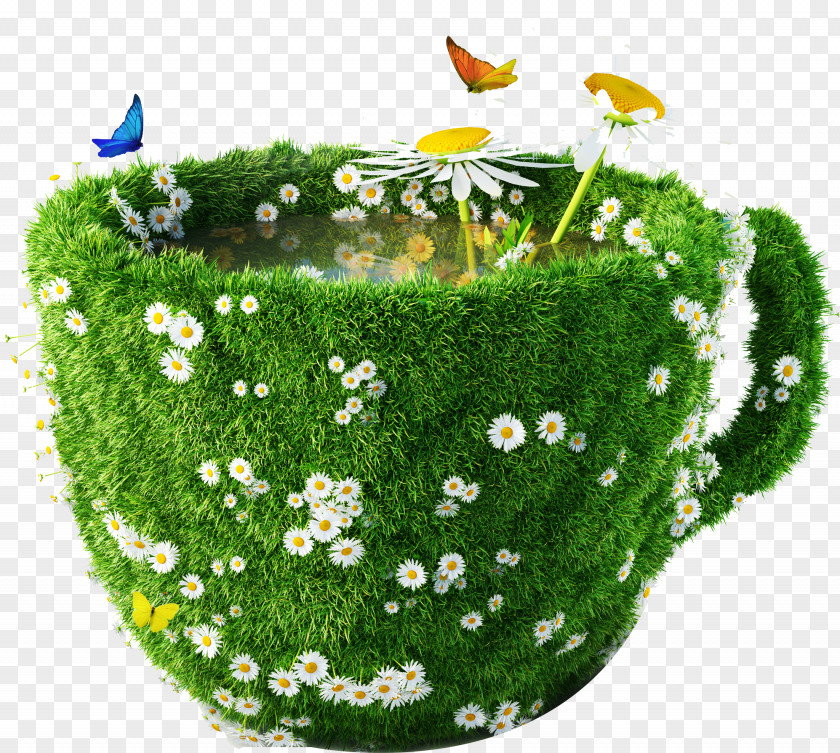Glass Plant Hong Kong-style Milk Tea Green Chamomile Coffee Cup PNG