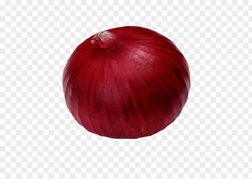Onion Red Maroon PNG