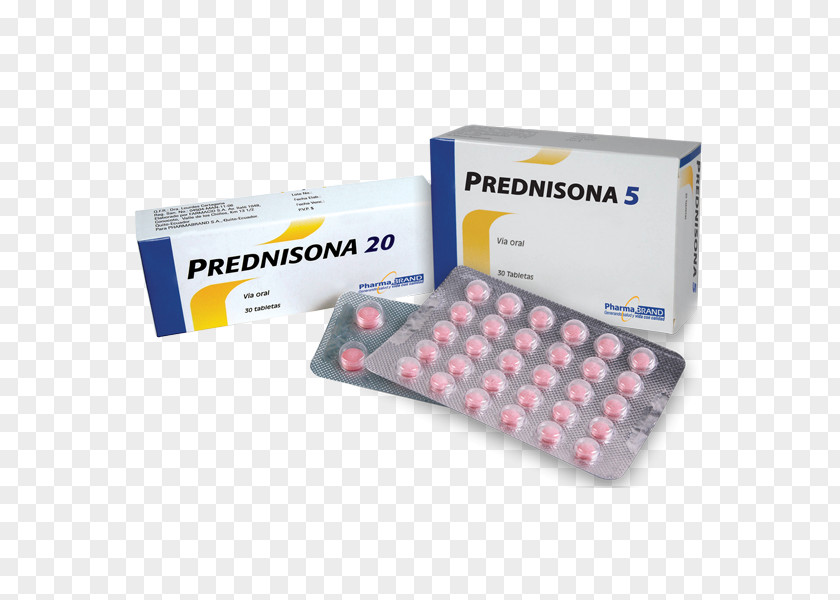 Prednisone Prednisolone Adverse Drug Reaction Pharmaceutical Autoimmune Hemolytic Anemia PNG