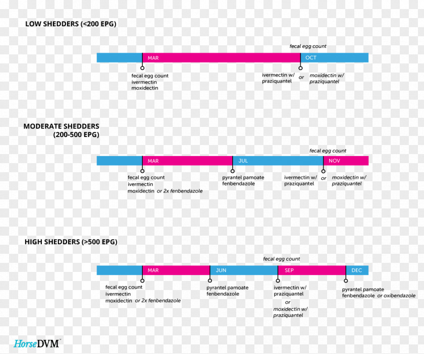 Schedule Computer Software Program Paper Operating Systems PNG