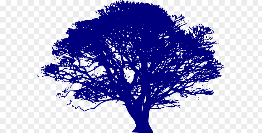 Blue Family Cliparts Quercus Suber English Oak Lobata Tree Clip Art PNG