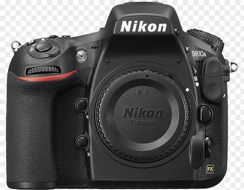 Camera Nikon D800 D4 尼康D800E Digital SLR Photography PNG