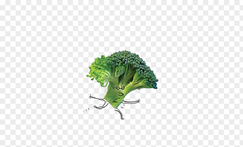Cartoon Broccoli Food Salad Vegetable PNG