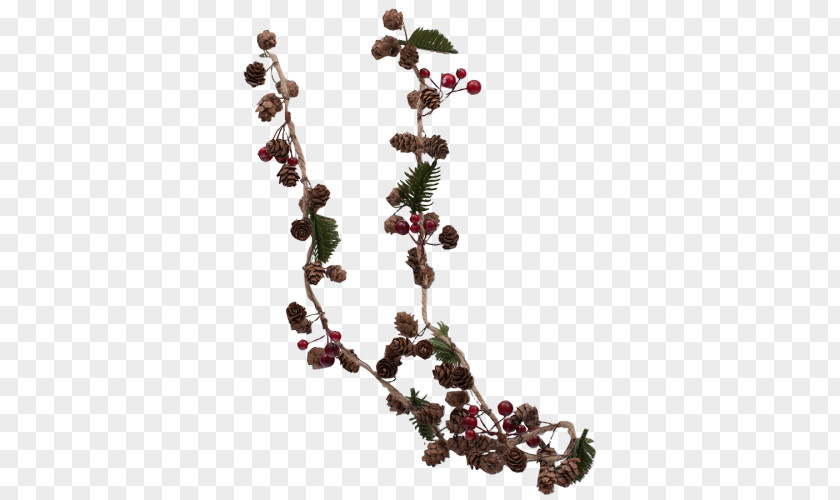 Garden Bars Chokeberry Pink Peppercorn PNG