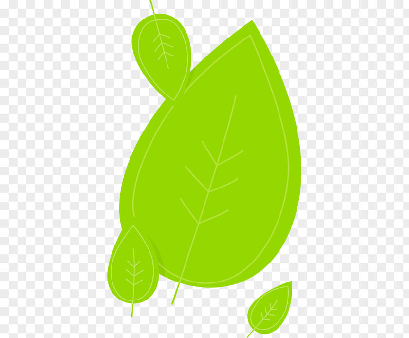 Matcha Evolution Clip Art Leaf Turtle PNG