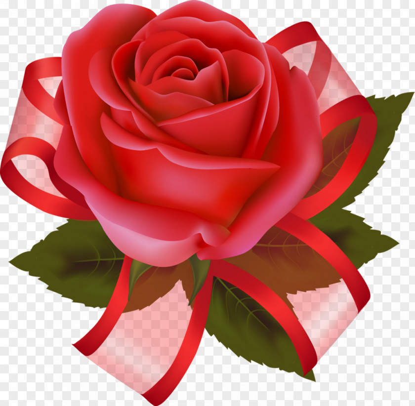 Valentine's Day Garden Roses Flower Clip Art PNG