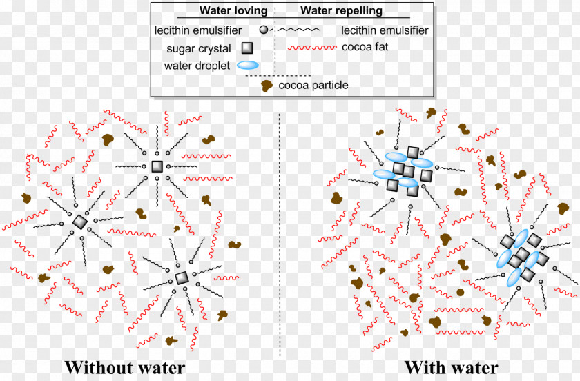 World Of Warcraft Diagram Organism Line Point PNG