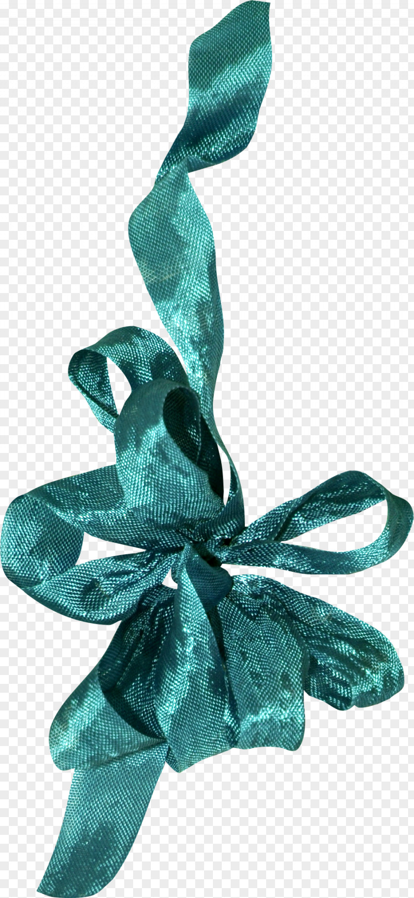 Bow Ribbon Color Download PNG