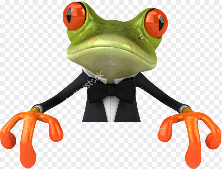 Frog Edible Stock Photography True PNG