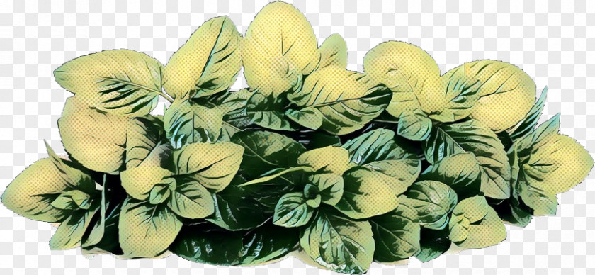 Monkshood Anthurium Floral Flower Background PNG