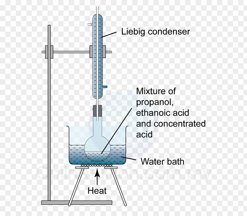 Butyl Group Esterification Ethyl Carboxylic Acid PNG