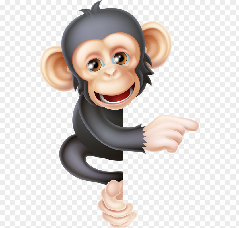 Cute Little Monkey Common Chimpanzee Orangutan Ape Stock Photography PNG