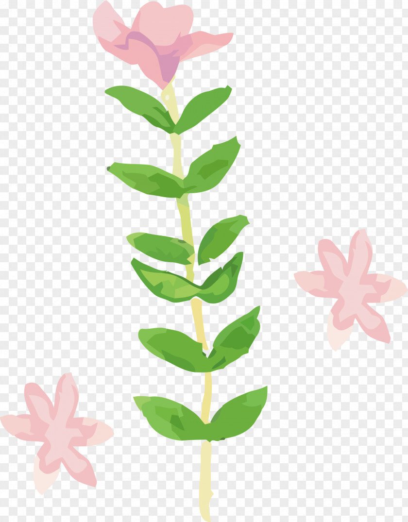Flower Leaf Plant Pink Pedicel PNG