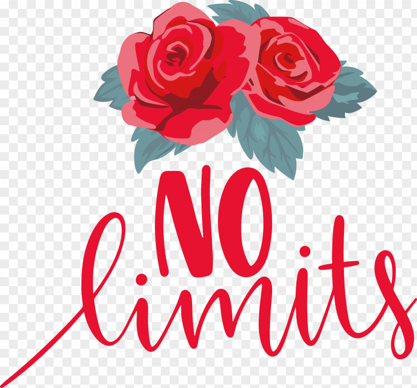 No Limits Dream Future PNG